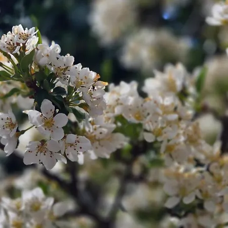 Kl32 * Graal-Mueritz