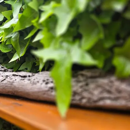 Kl32 * グラール・ミューリッツ